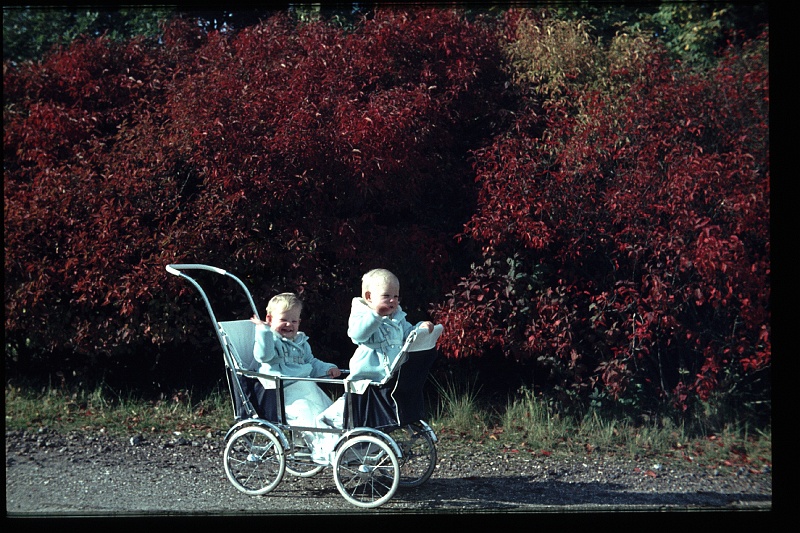 30.Horsten okt 1964 Brigitte,Marion.JPG